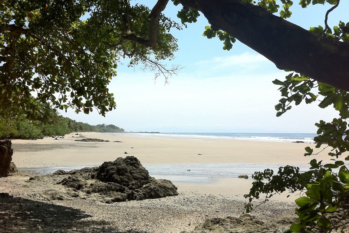 Playa Grande Costa Rica